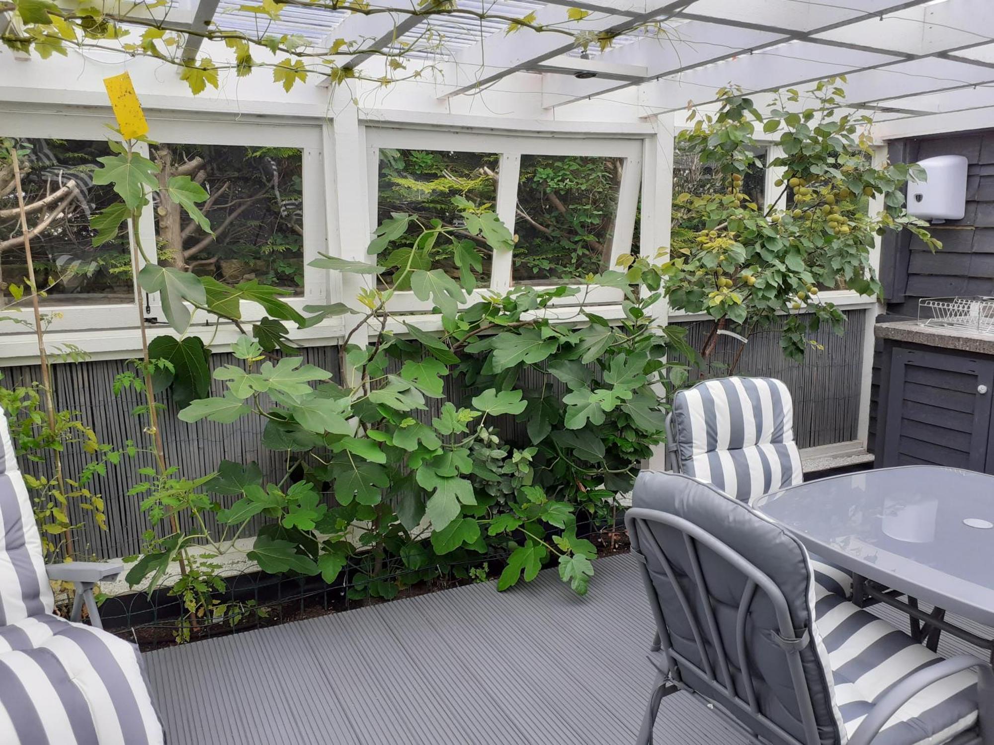 The Treehouse By Airlie Apartment Nairn Exterior foto